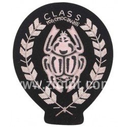 Bullion Wire Blazer Badges